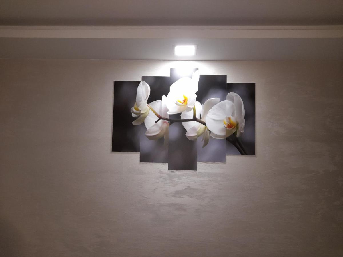 Daca 1 Appartement Belgrado Buitenkant foto
